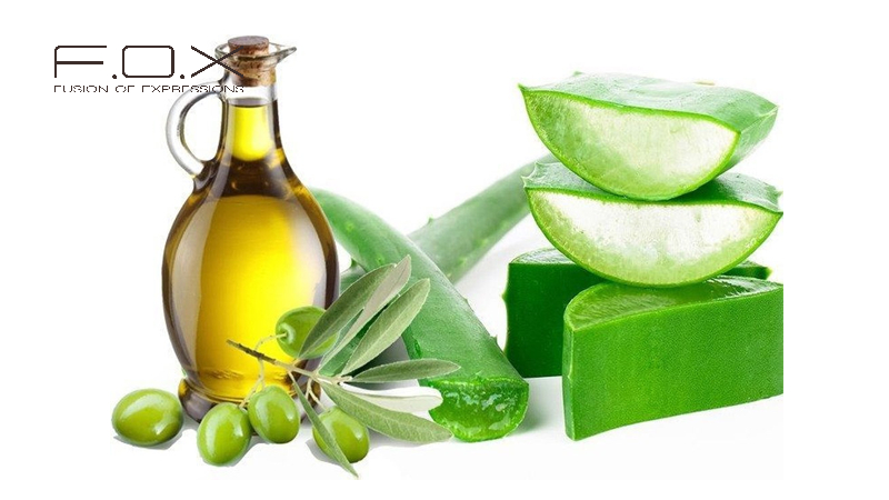 Cách dưỡng ẩm và trị thâm nám cho da từ bơm, nha đam và dầu oliu